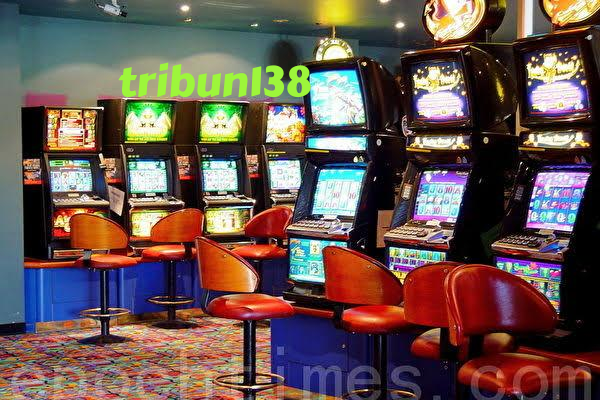 tribun138 taruhan olahraga
